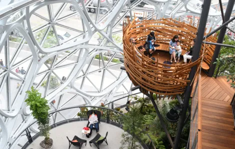Bird's nest inside the Amazon Spheres credit JiaYing Grygiel